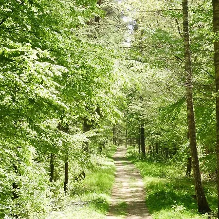 Bajka Anity Διαμέρισμα Wilkasy (Gizycko)